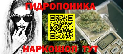 сатива Краснознаменск
