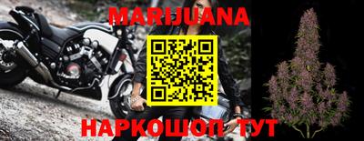 сатива Краснознаменск
