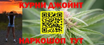 сатива Краснознаменск