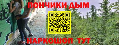 сатива Краснознаменск