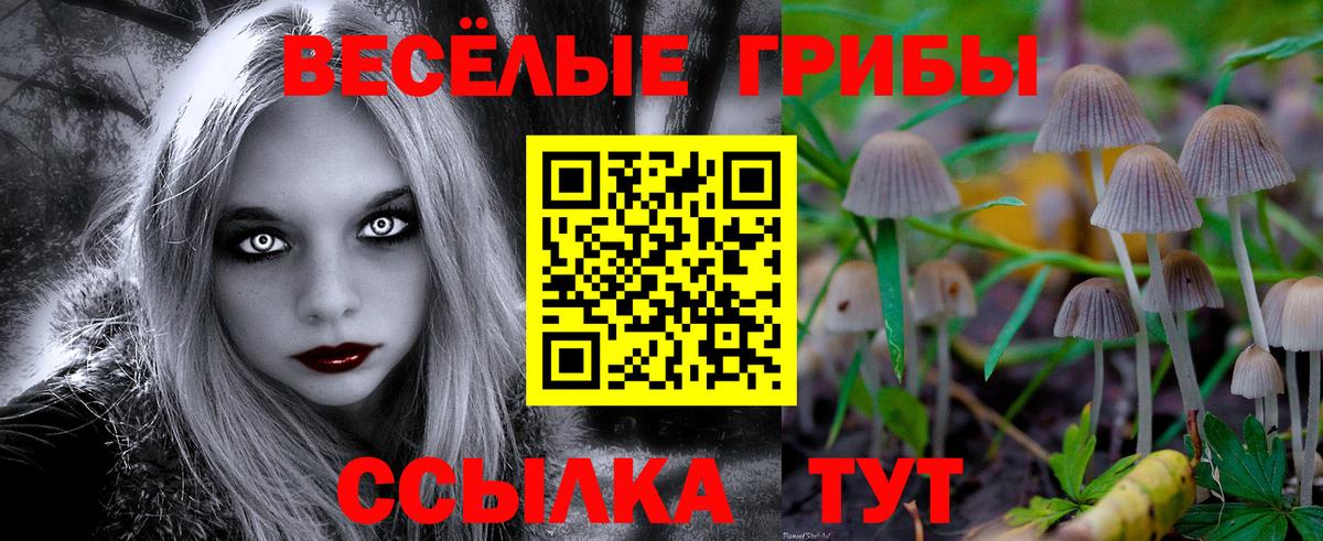 Унеча  Псилоцибиновые грибы GOLDEN TEACHER  Вход с VPN 