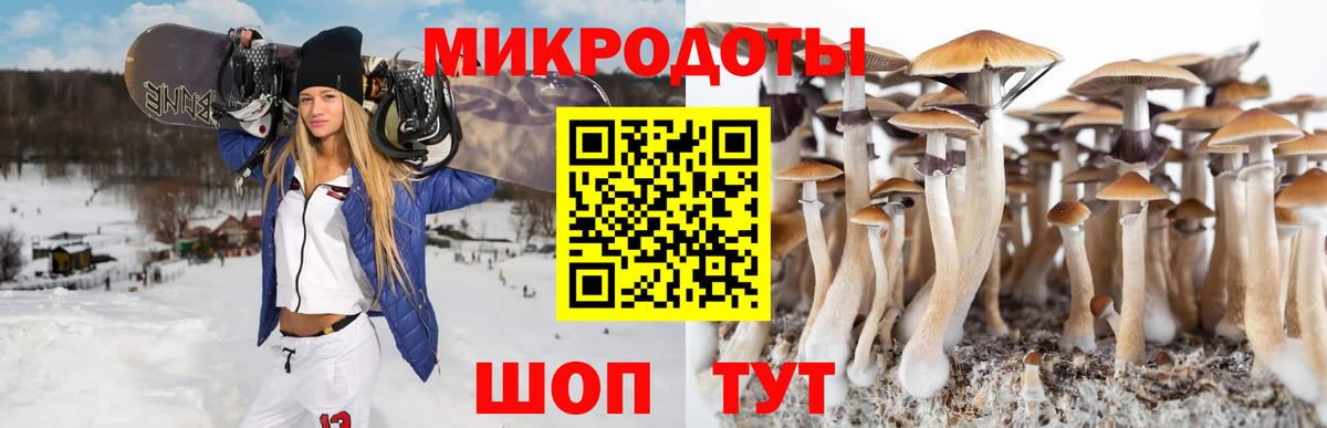Псилоцибиновые грибы Magic Shrooms Унеча